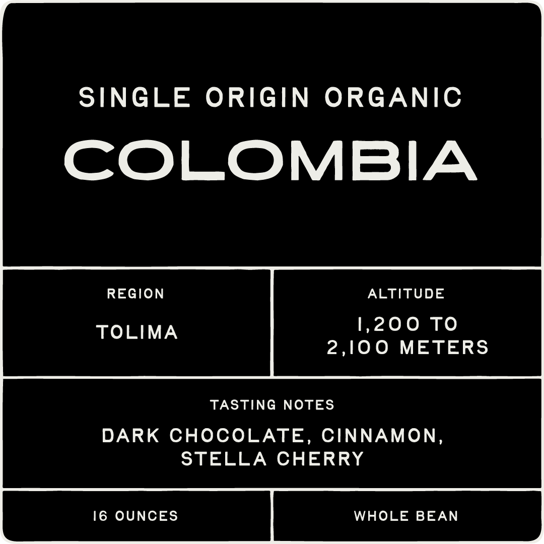 Medium Dark