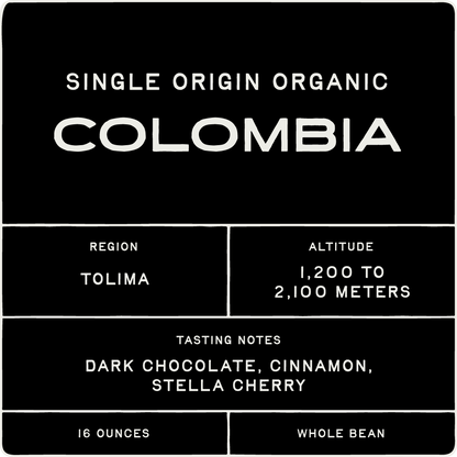 Medium Dark